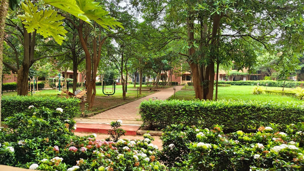 Panchakarma Department Highlights 7